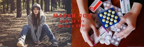 дмт Абаза