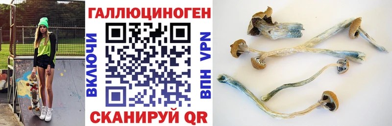 Псилоцибиновые грибы Psilocybine cubensis  наркота  Лодейное Поле 