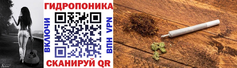 купить наркотик  Лодейное Поле  Шишки марихуана индика 